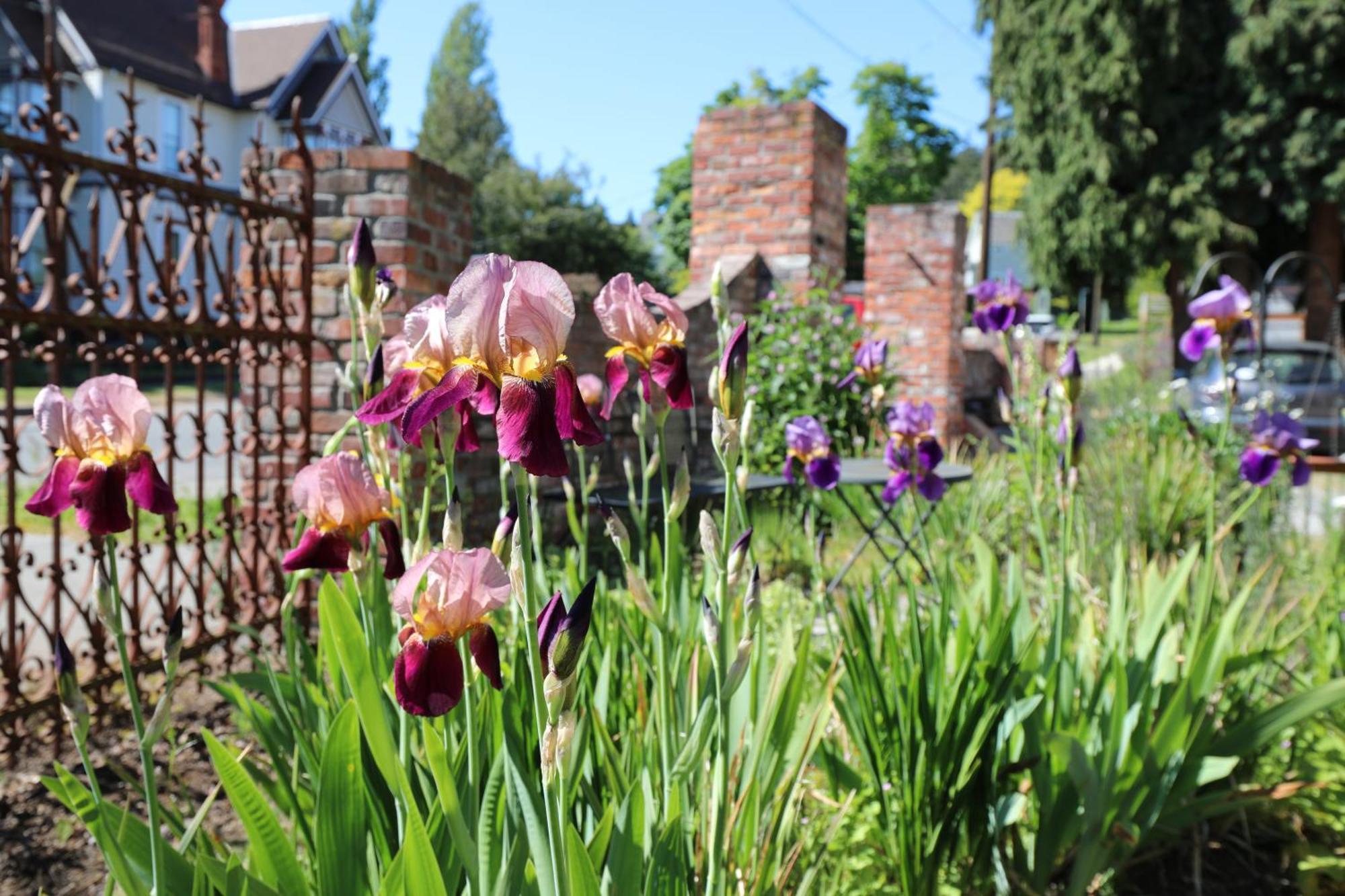 Adams Pragge House - Victorian Bed & Breakfast Port Townsend Ngoại thất bức ảnh