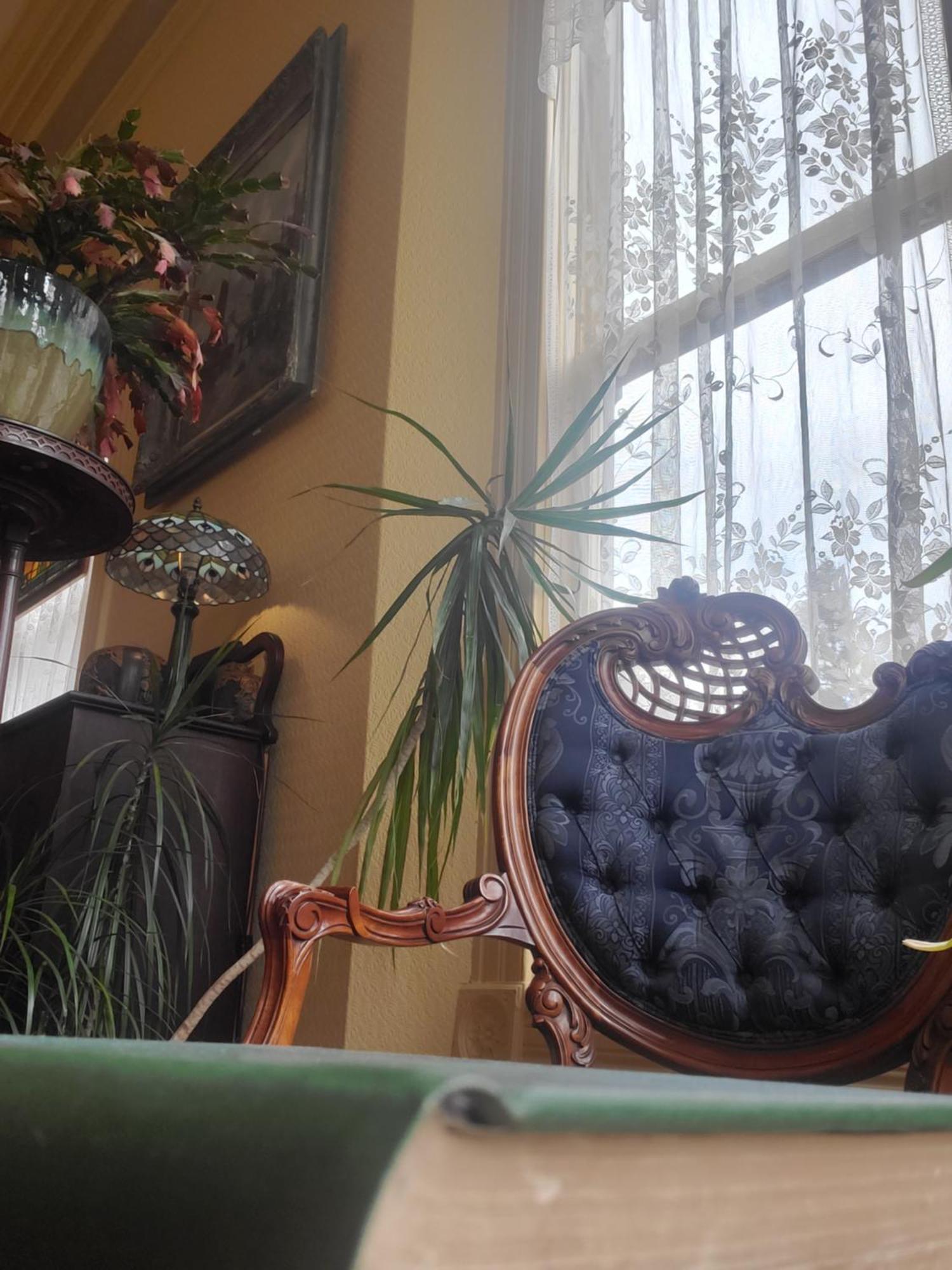 Adams Pragge House - Victorian Bed & Breakfast Port Townsend Ngoại thất bức ảnh